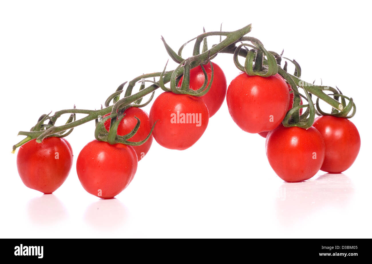 Les tomates de vigne sur fond blanc Banque D'Images
