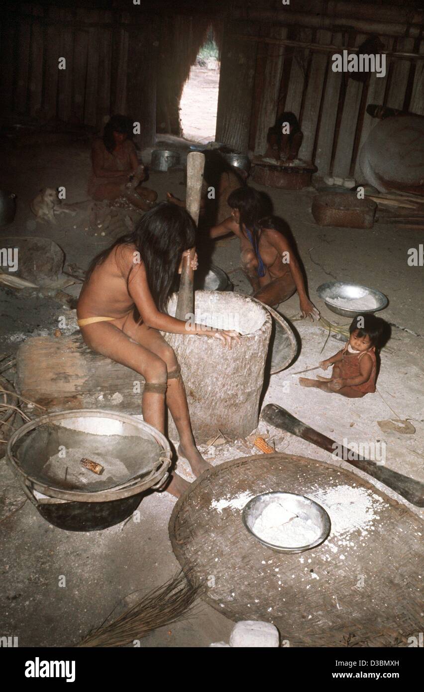 (Afp) - Les Femmes de la tribu de manioc séché Jawalapiti timbres fruits, dans une cabane dans le Parc National du Xingu au Brésil, 1976. L'aliment de base des Indiens d'Amazonie est le manioc et la principale source de protéines est le poisson. Bon nombre des compétences agricoles et de chasse de l'original des tribus indiennes sont sti Banque D'Images