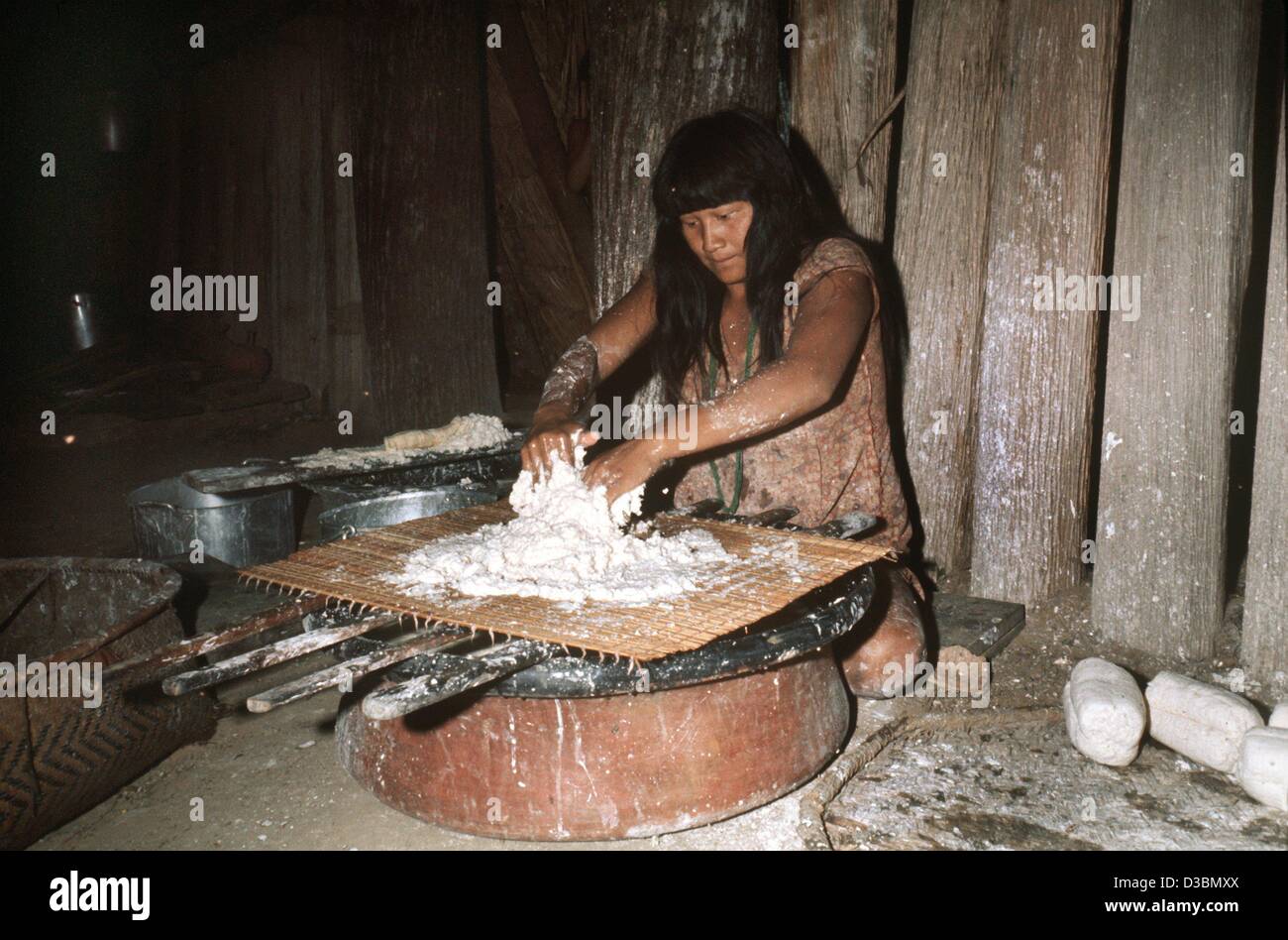 (Afp) - Une femme de la tribu des Jawalapiti mixe une pâte de manioc séché, dans une cabane dans le Parc National du Xingu au Brésil, 1976. L'aliment de base des Indiens d'Amazonie est le manioc et la principale source de protéines est le poisson. Bon nombre des compétences agricoles et de chasse des tribus indiennes d'origine Banque D'Images