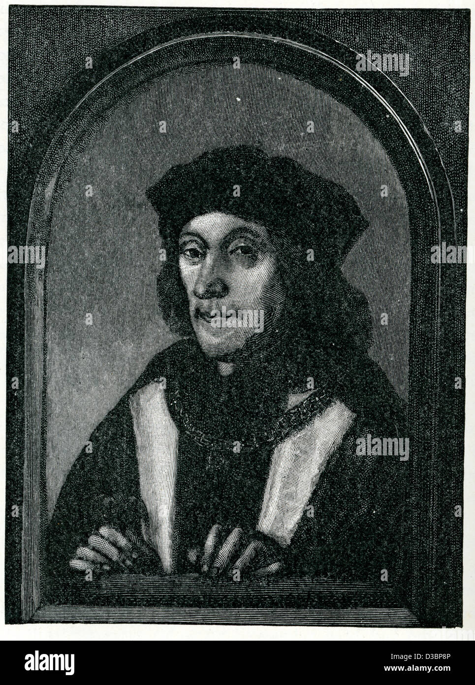 Roi henri vii d