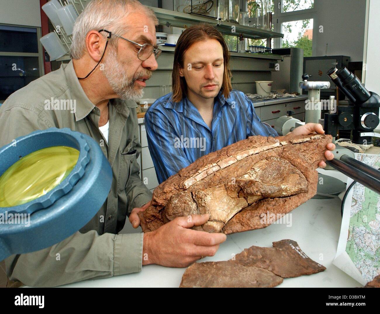 (Afp) - Le professeur Joerg Schneider (L), paléontologue à l'Université technique de Freiberg, et son assistant Frank Koerner examiner environ 280 millions d'années des dinosaures fossile à Freiberg des pièces, l'Est de l'Allemagne, 1 août 2003. Les deux scientifiques ont découvert les résultats spectaculaires, tels que le r Banque D'Images