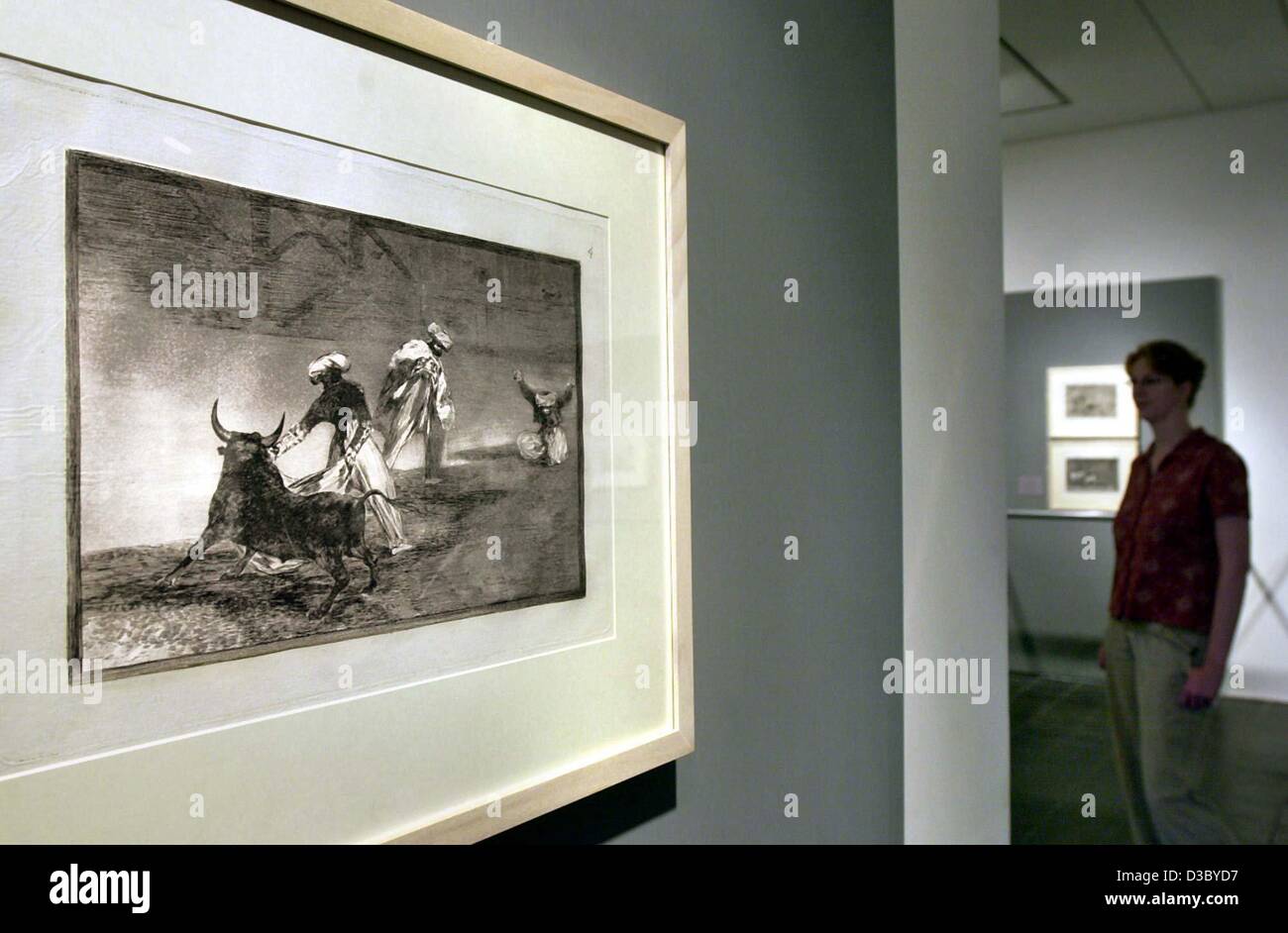 (Afp) - Une femme regarde une gravure de Francisco de Goya's corrida série 'La Tauromaquia" indiqués à la Tauromaquia (l'art de la corrida) exposition à la Kunsthalle (arts hall) à Hambourg, 10 juillet 2003. Goya (1746-1828) à l'origine de la série corrida comprenait trente trois gravures exécutées Banque D'Images