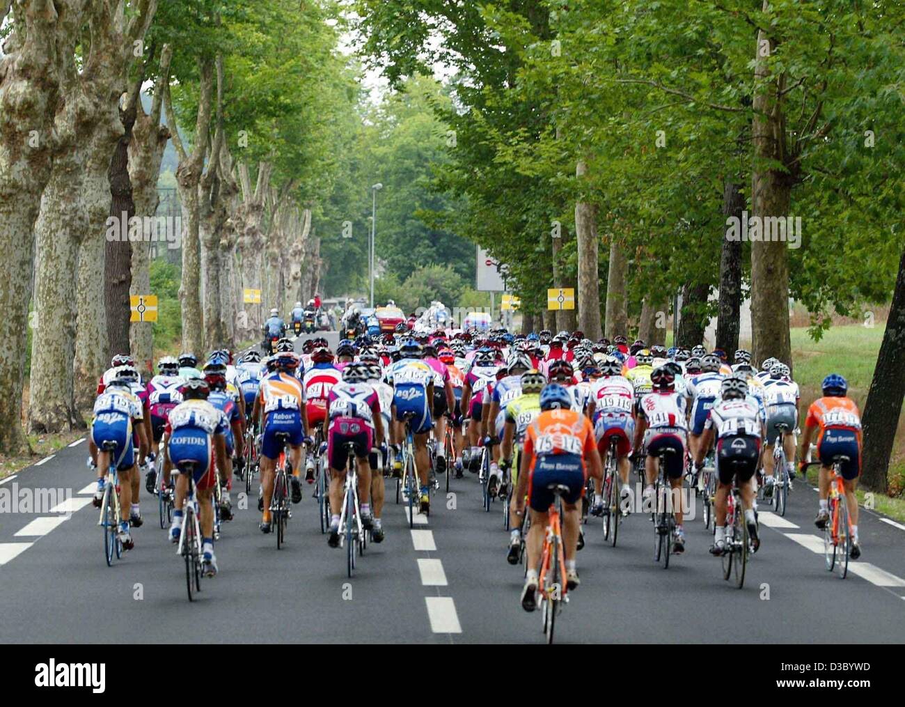 Cyclisme 2003, Le Livre d'or du Tour 2003 (The 2003 Tour Golden
