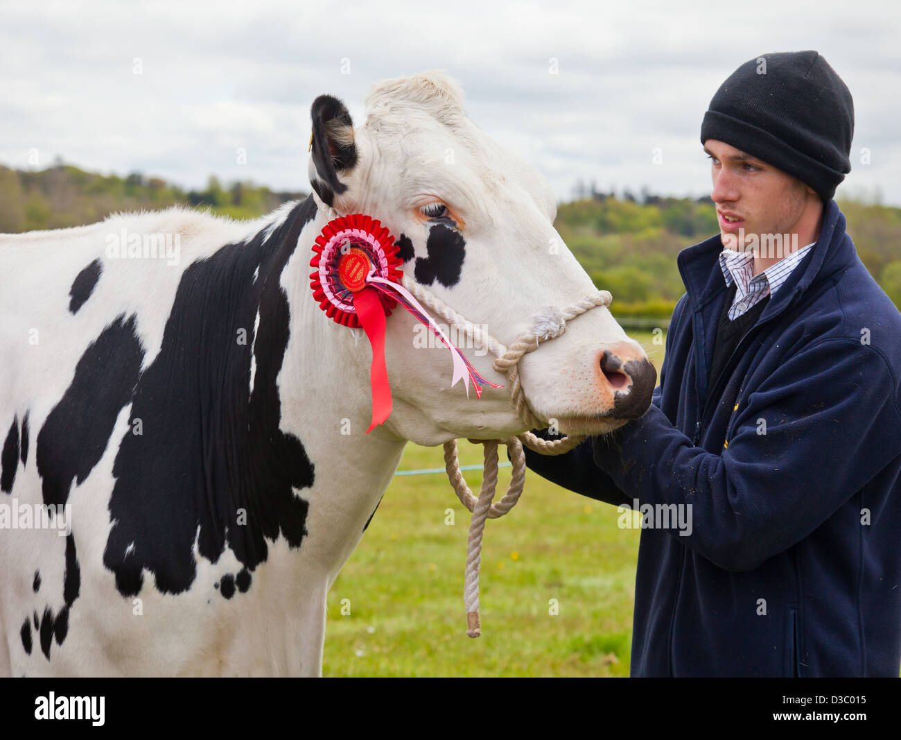 Un jeune agriculteur détient sa vache frisonne primés, avec 'Champion' rosette, lors d'un show d'agriculteurs dans la région de l'Ayrshire. Banque D'Images