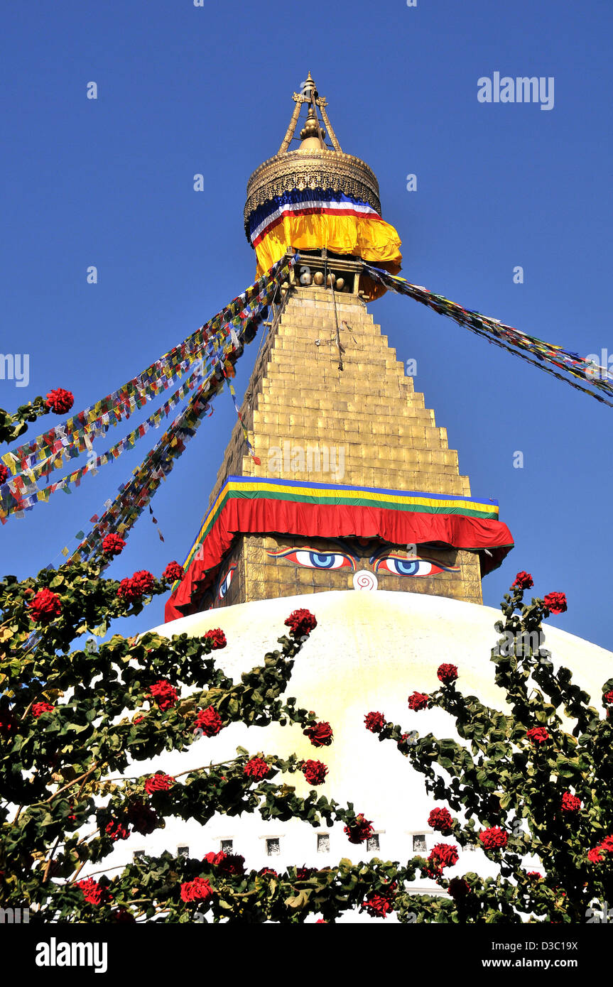 Stupa Bodhnath Népal Banque D'Images
