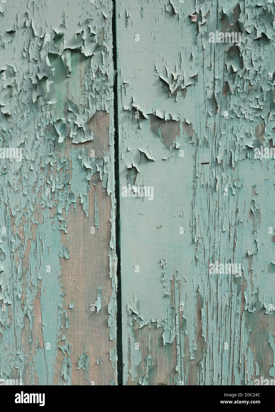 L'écaillage de la PEINTURE TURQUOISE SUR FOND DE BOIS Banque D'Images