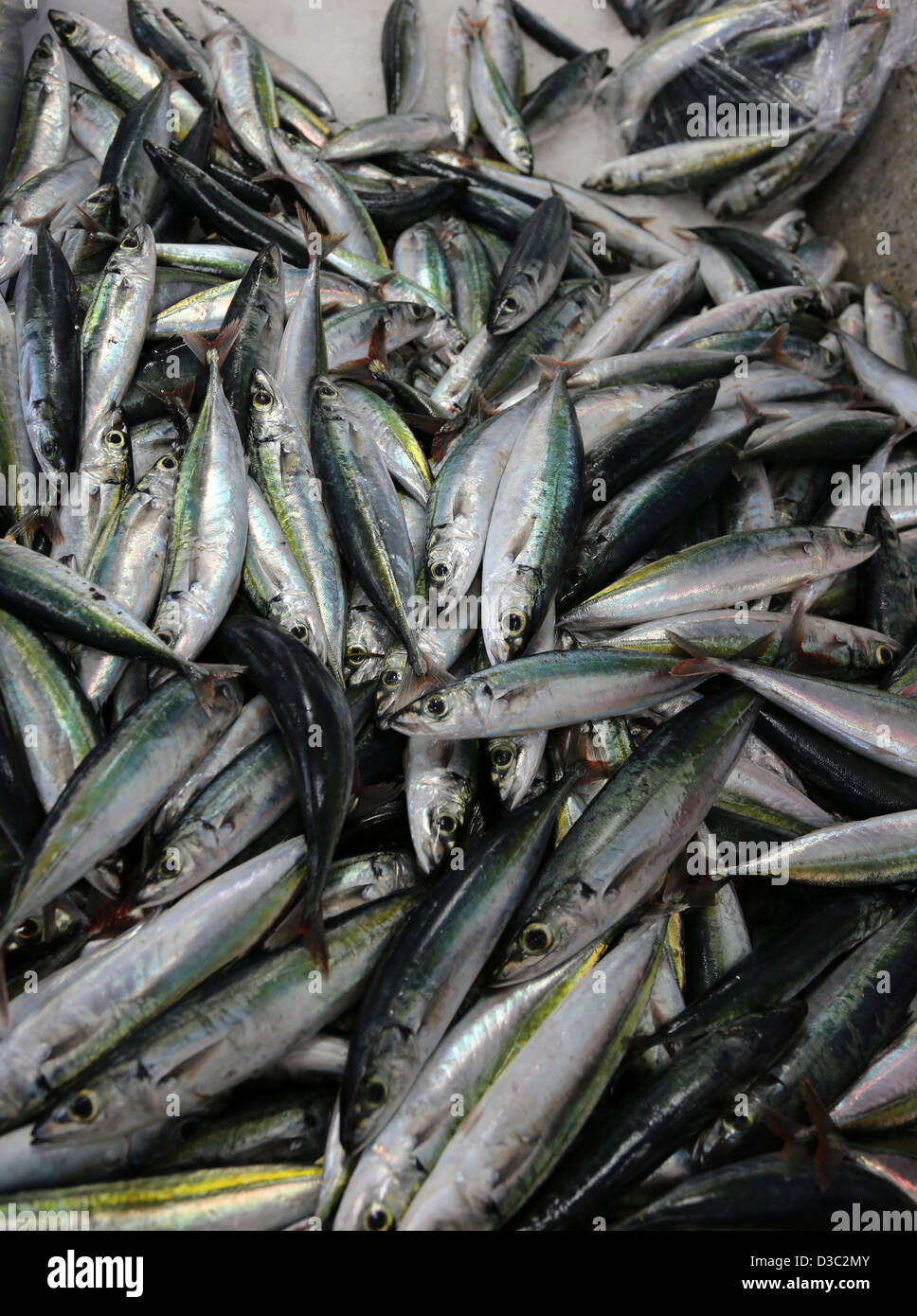 Marché aux poissons de KINGSTON, ST.VINCENT,CARAÏBES Banque D'Images