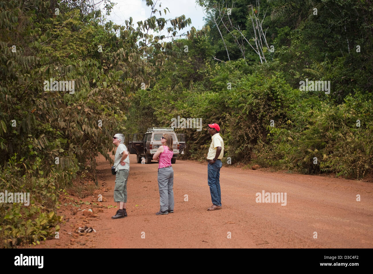 La forêt d'Iwokrama ; un arrêt seulement nord-sud, par voie de la Guyana. L'accès à partir de Georgetown, Lindon à Lethem. Banque D'Images