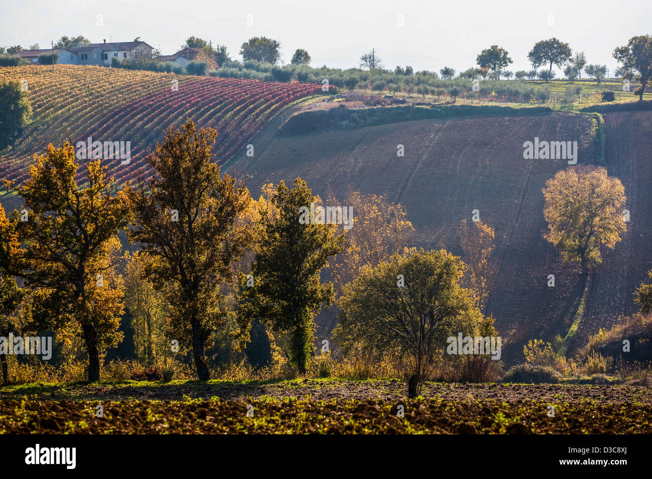 Paysage d'automne en Ombrie, Italie Banque D'Images