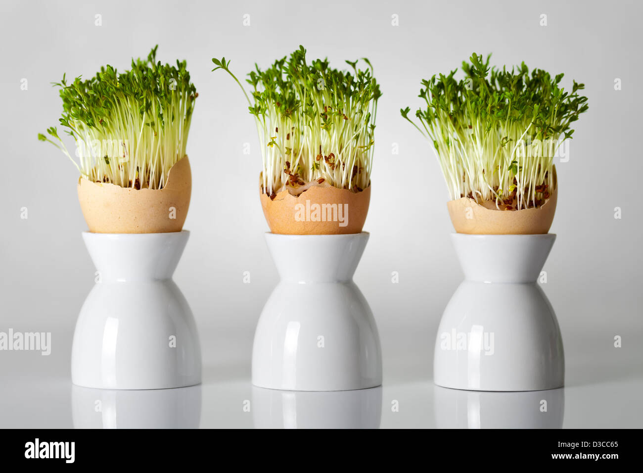 Composition de Pâques avec des œufs en coquille verts sur fond gris. Concept Art Banque D'Images