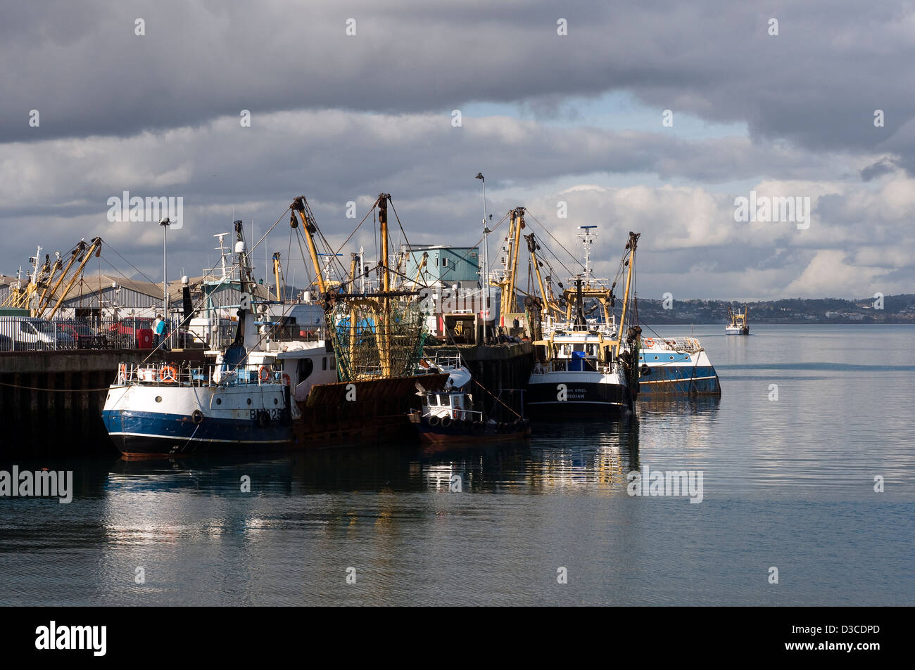 La flotte de chalutiers,le port de Brixham Brixham,port, ancré, bleu, voile, bow, saccadée, amarré, fluide, vert, l poisson town Banque D'Images