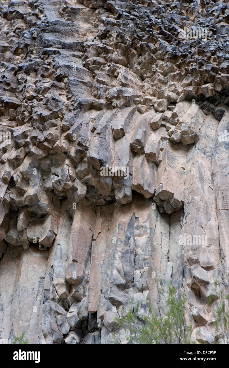 Un mur de colonnes de basalte au Grand Canyon Banque D'Images