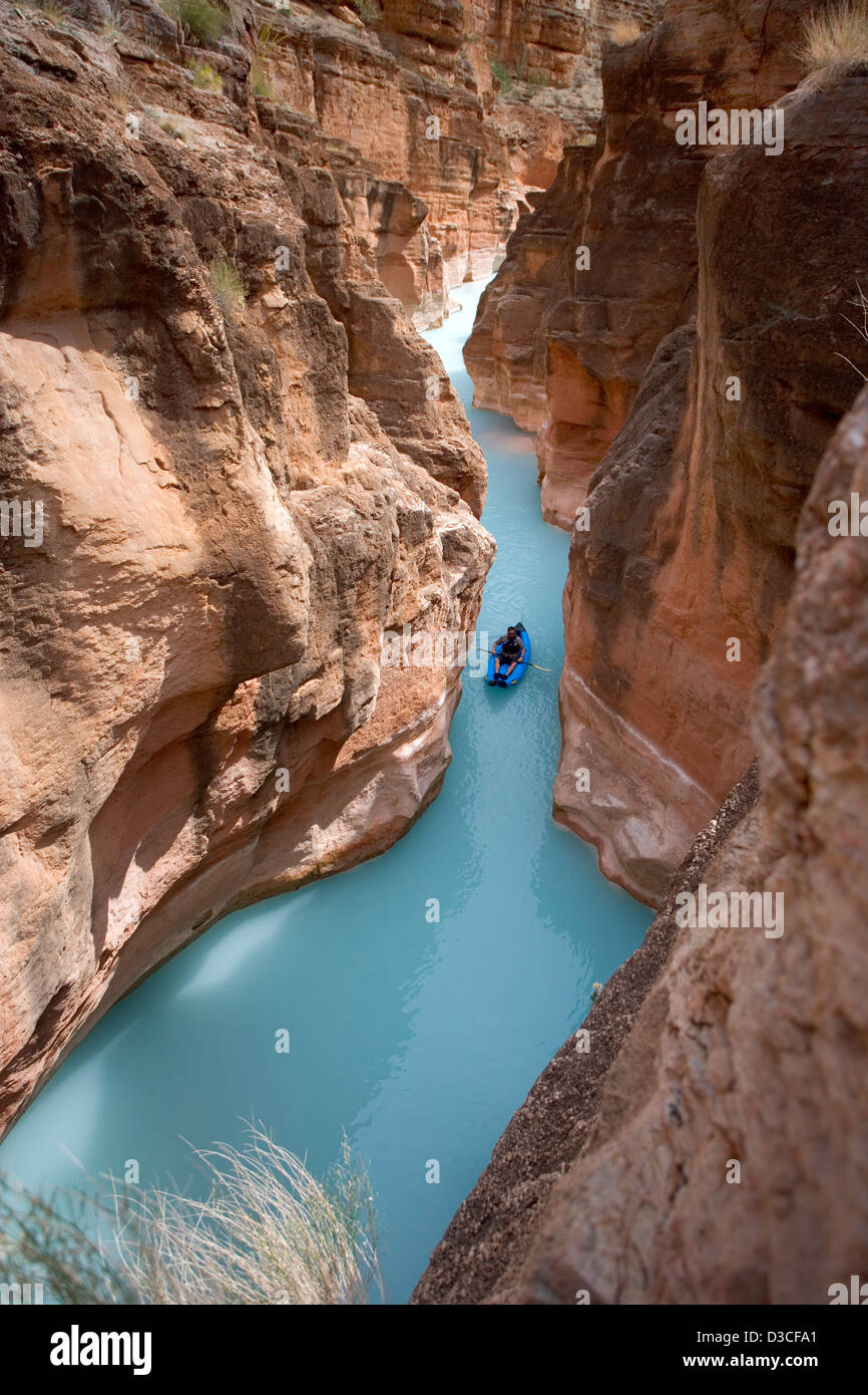 Un homme des kayaks dans la Havasu Creek près de l'endroit où il se jette dans le Grand Canyon. Le carbonate de calcium de l'eau couleurs bleu clair. Banque D'Images