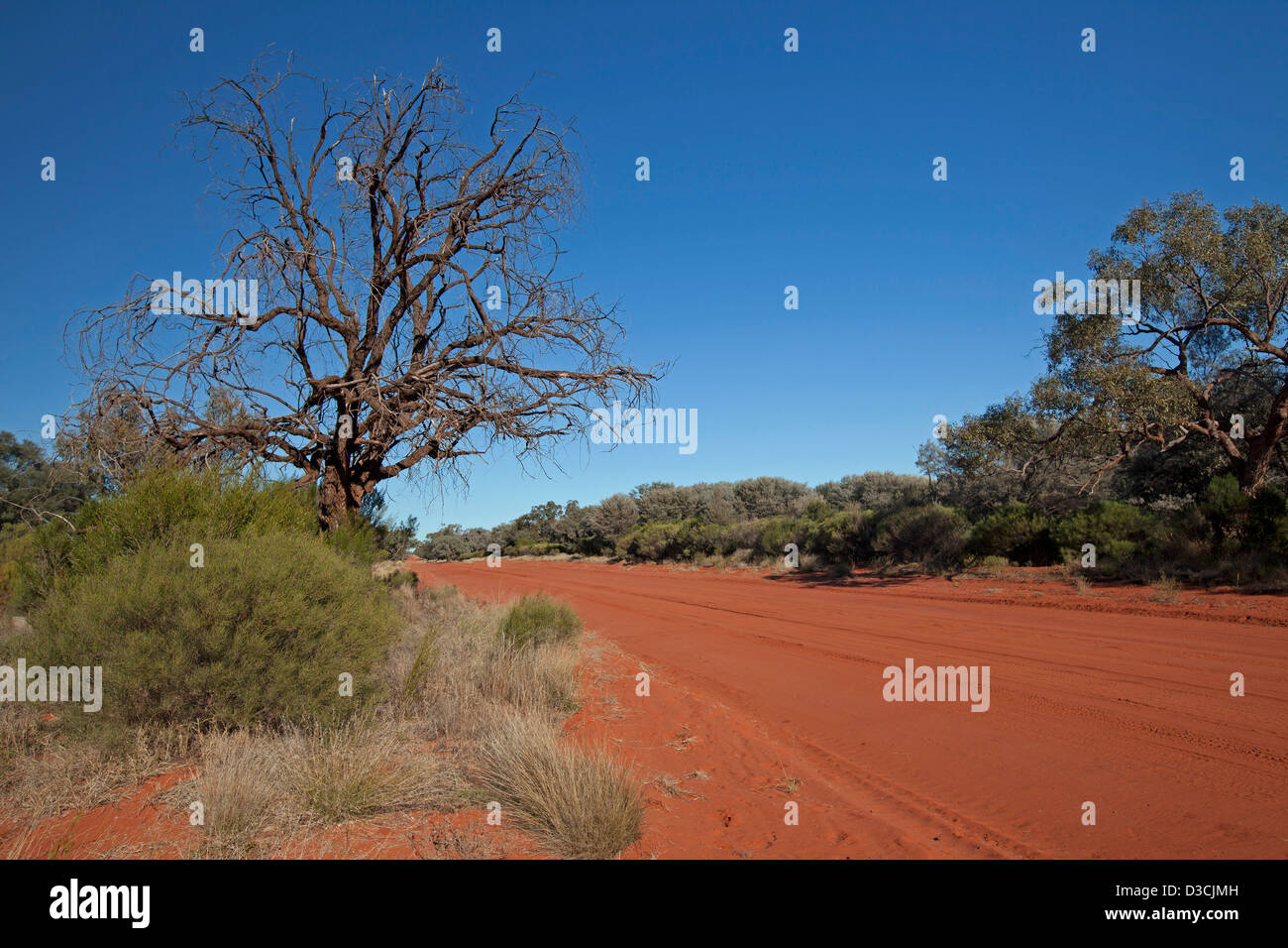 Bright Red Road - entouré de végétation basse et avec l'arbre mort sous ciel bleu - coupant à travers l'arrière-pays australien Banque D'Images