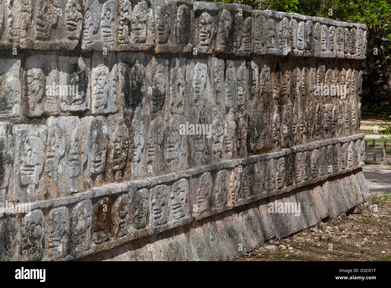 Détail d'un crâne sculpté sur le mur de crânes (Tzompantli), Chichen Itza, Mexique Banque D'Images