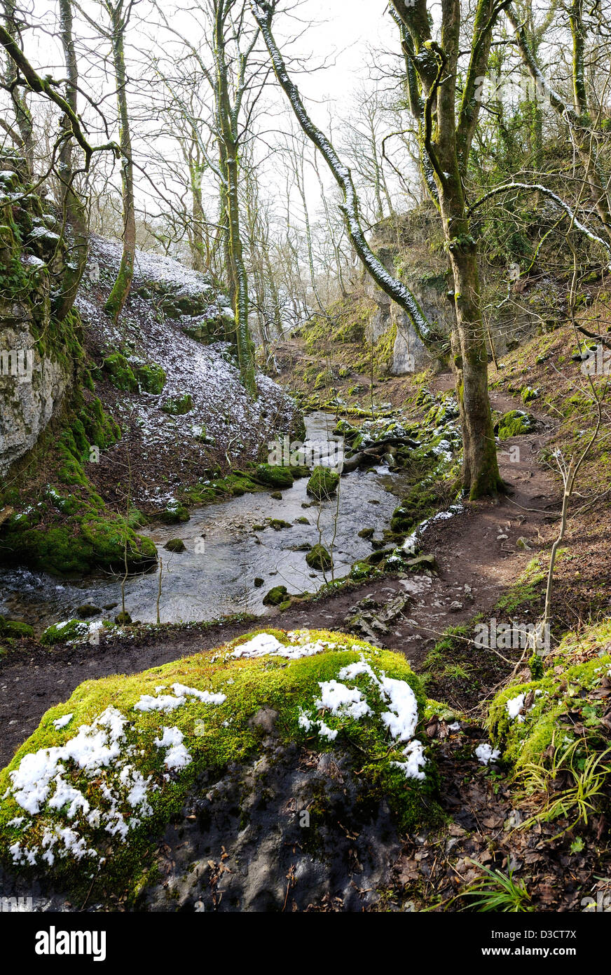 L'arbre bordée Malham beck à Gordale Scar dans le National Trust Malham Tarn estate dans les vallées du Yorkshire, Angleterre. Banque D'Images