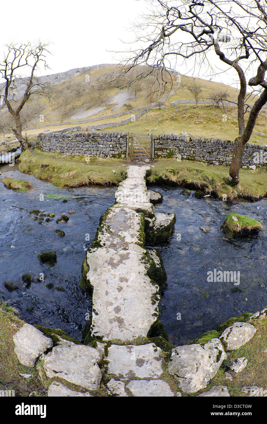Un ancien pont en pierre avec des dalles de pierre utilisé comme une passerelle pour traverser la Malham beck, à Malham cove,Yorkshire Dales. Banque D'Images