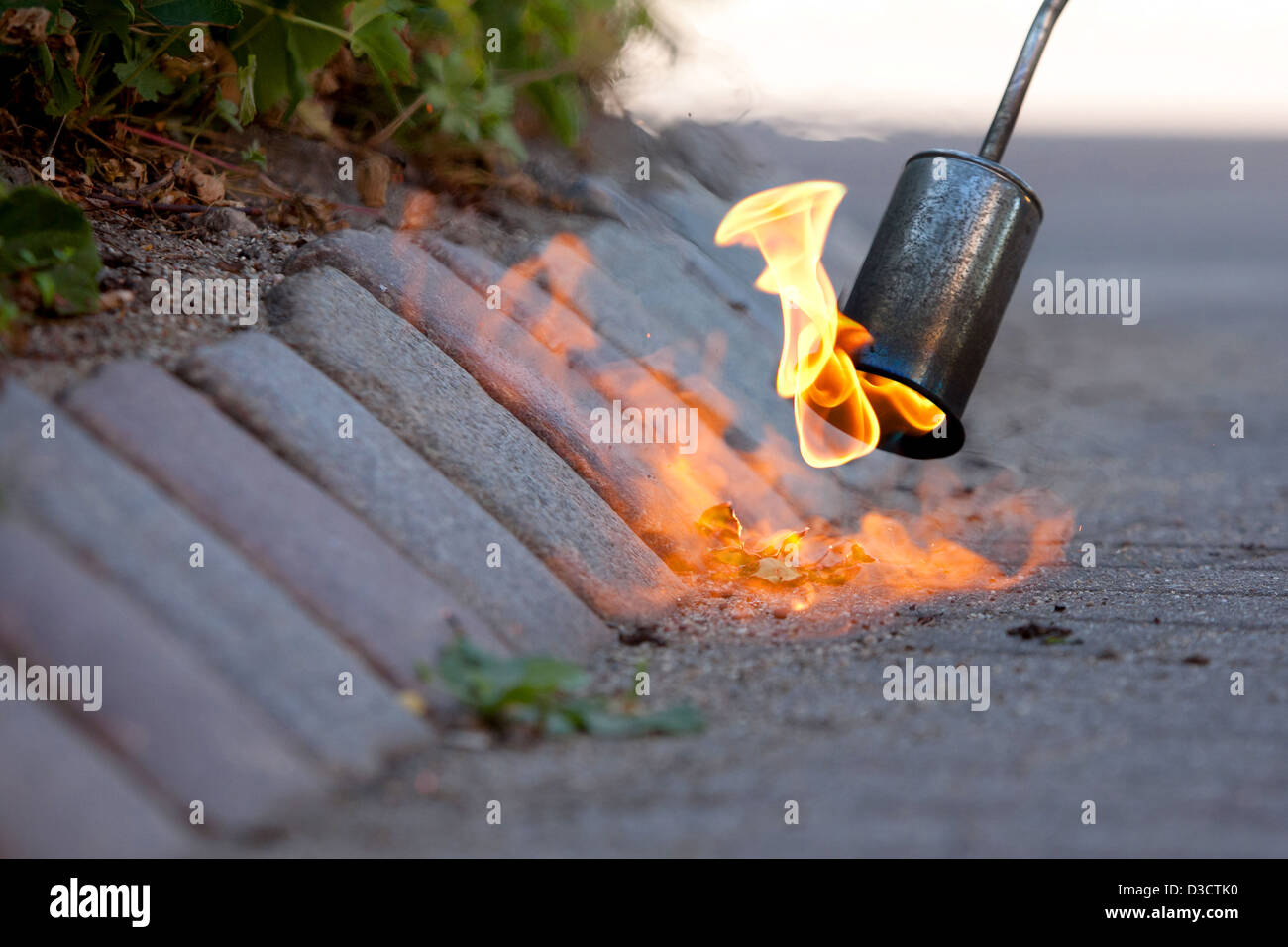 Kiel, Allemagne, le contrôle des mauvaises herbes à l'aide d'un brûleur à gaz Banque D'Images