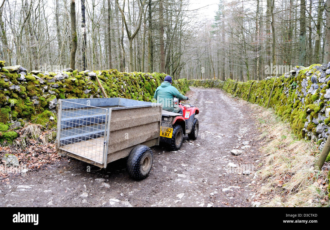 Agriculteur conduisant un véhicule de ferme quad tractant une remorque sur une paroi de pierre couvert de mousse bridleway dans les vallées du Yorkshire, Angleterre. Banque D'Images