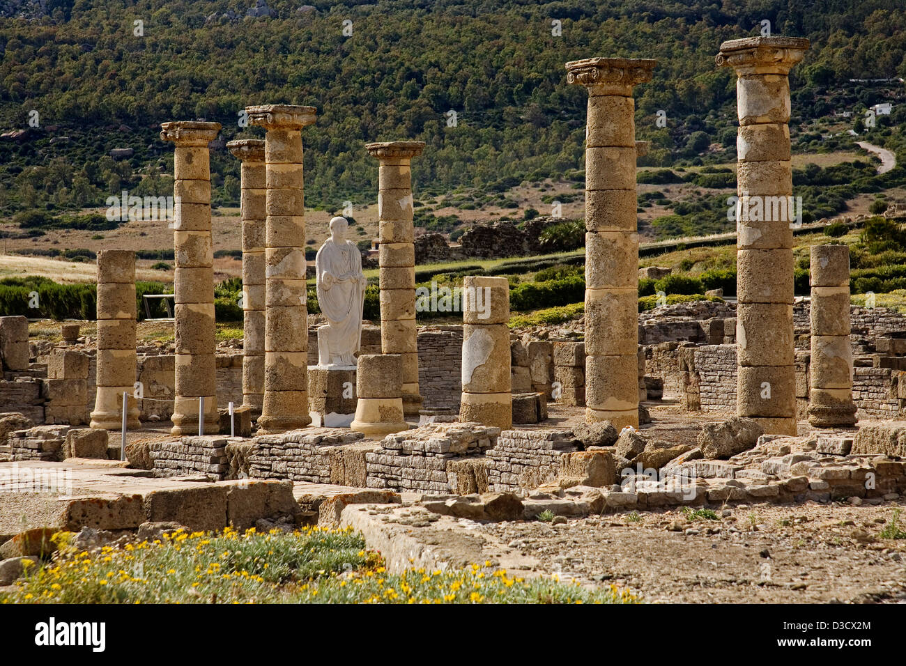 Site archéologique romaine Baelo Claudia Bolonia Tarifa Costa de la Luz Cadix Andalousie Espagne Banque D'Images