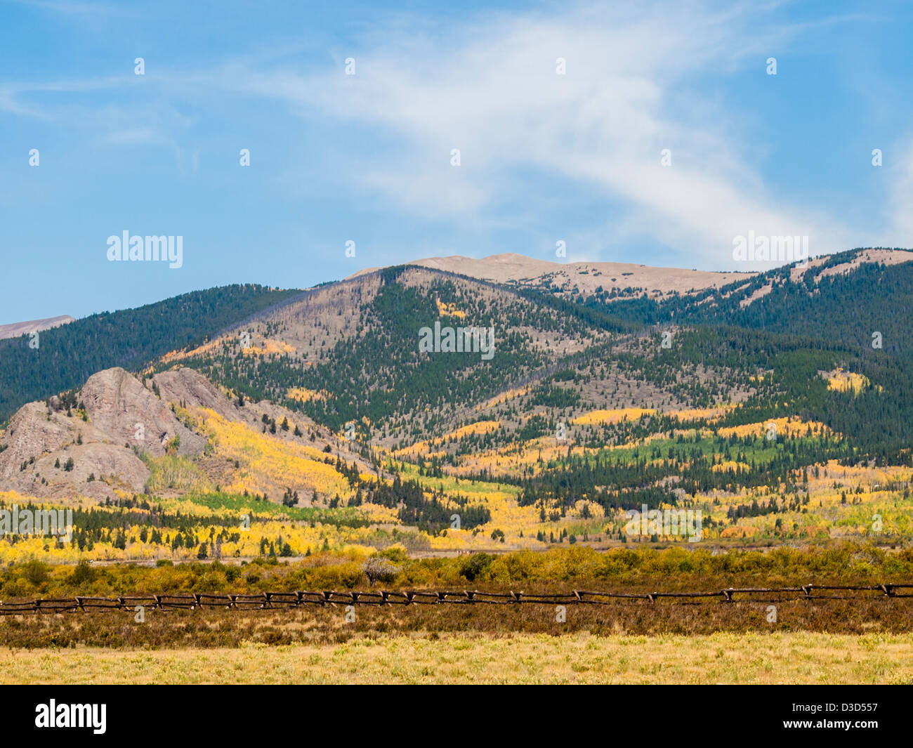 Montagnes couvertes de couleur jaune vif en automne. Banque D'Images