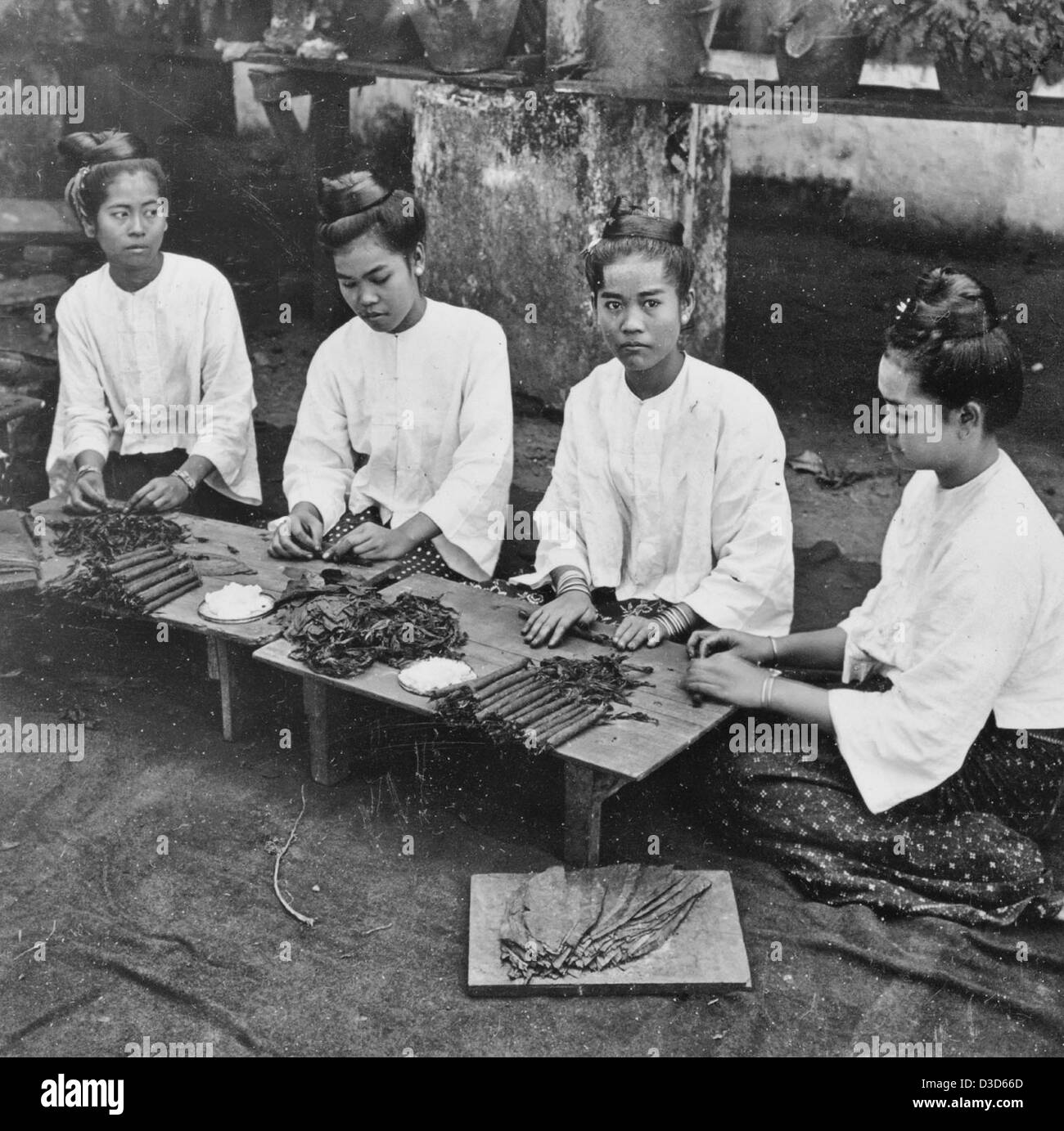 Les birmanes rouler des cigares, tabac en feuilles pour Mopoon, Birmanie, vers 1907 Banque D'Images