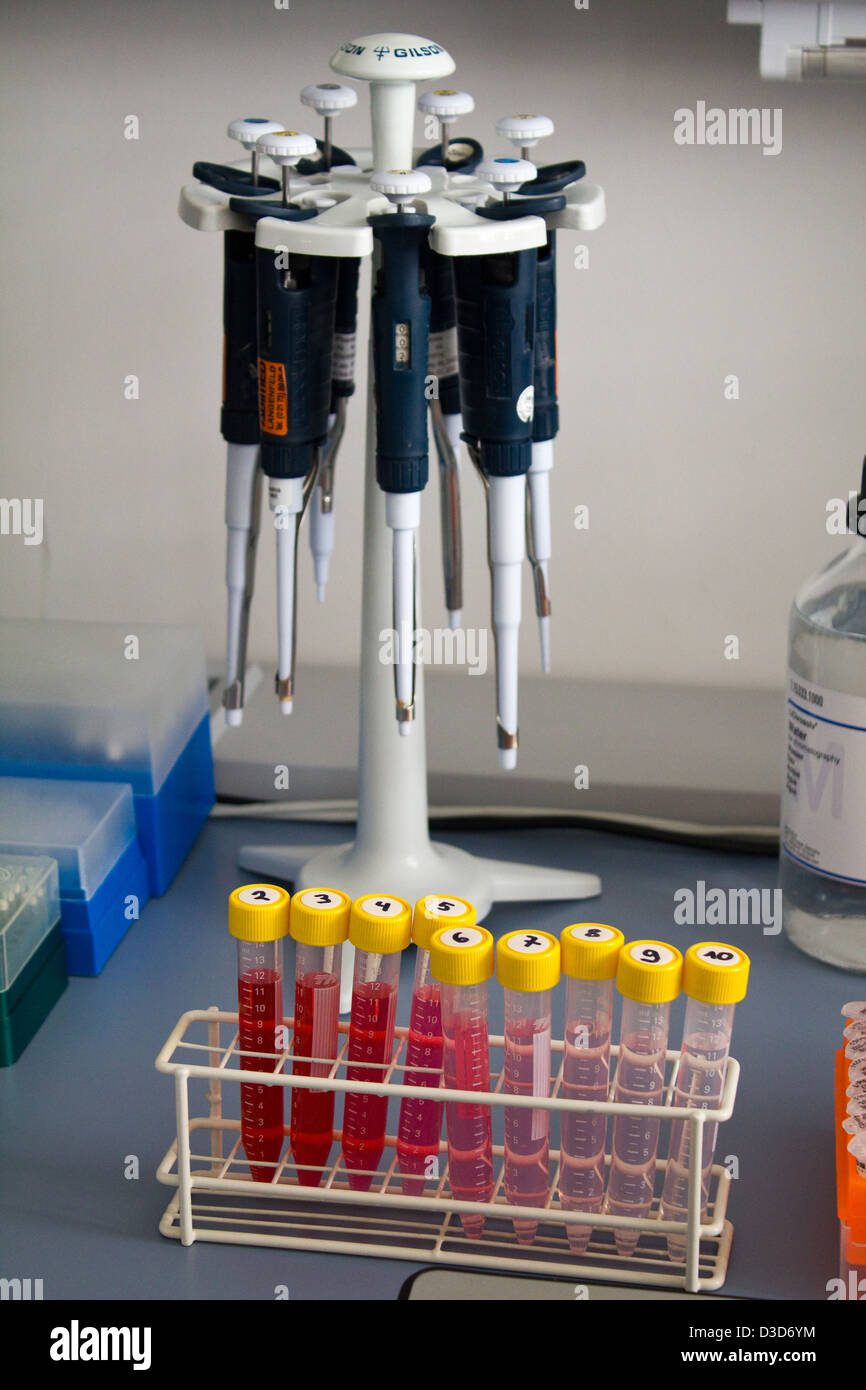 Berlin, Allemagne, différents niveaux d'aptamères sélectionnés dans des tubes à essai Banque D'Images