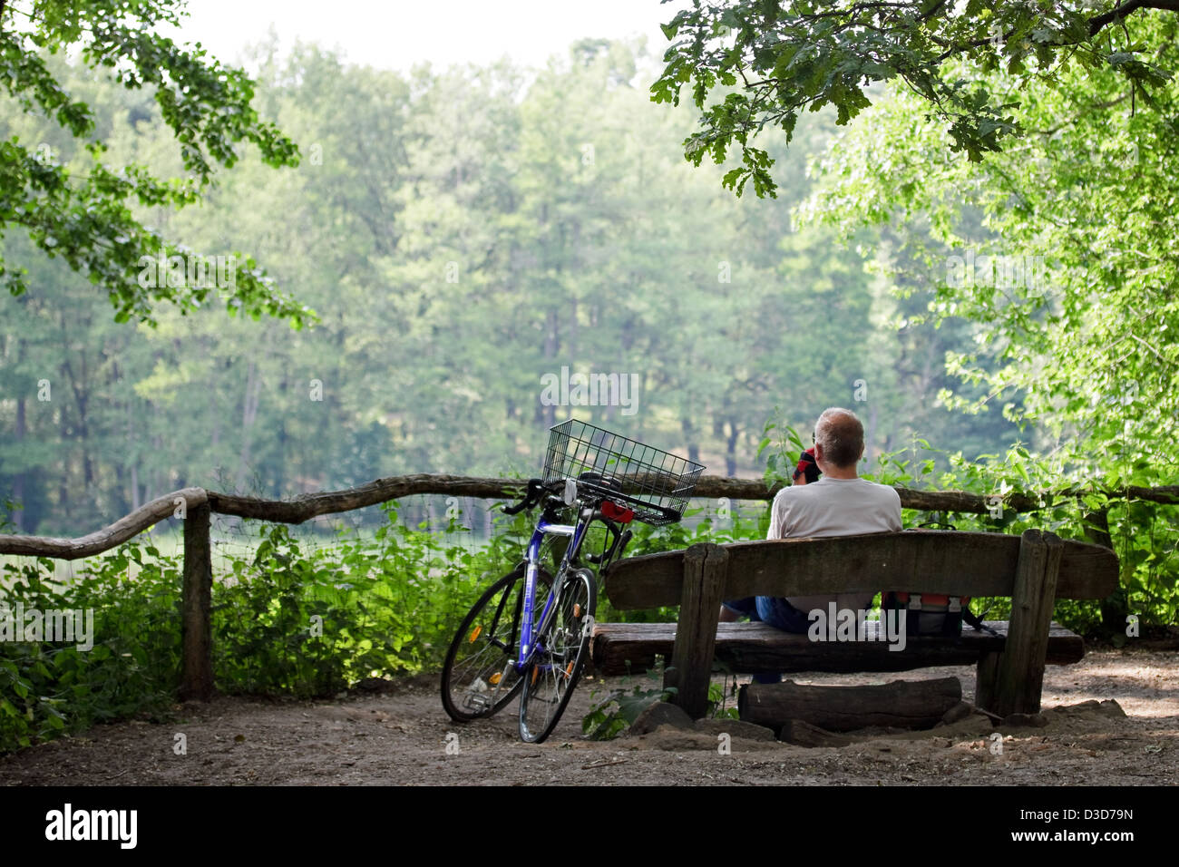Berlin, Allemagne, un homme est assis sur un banc au Grunewald Banque D'Images