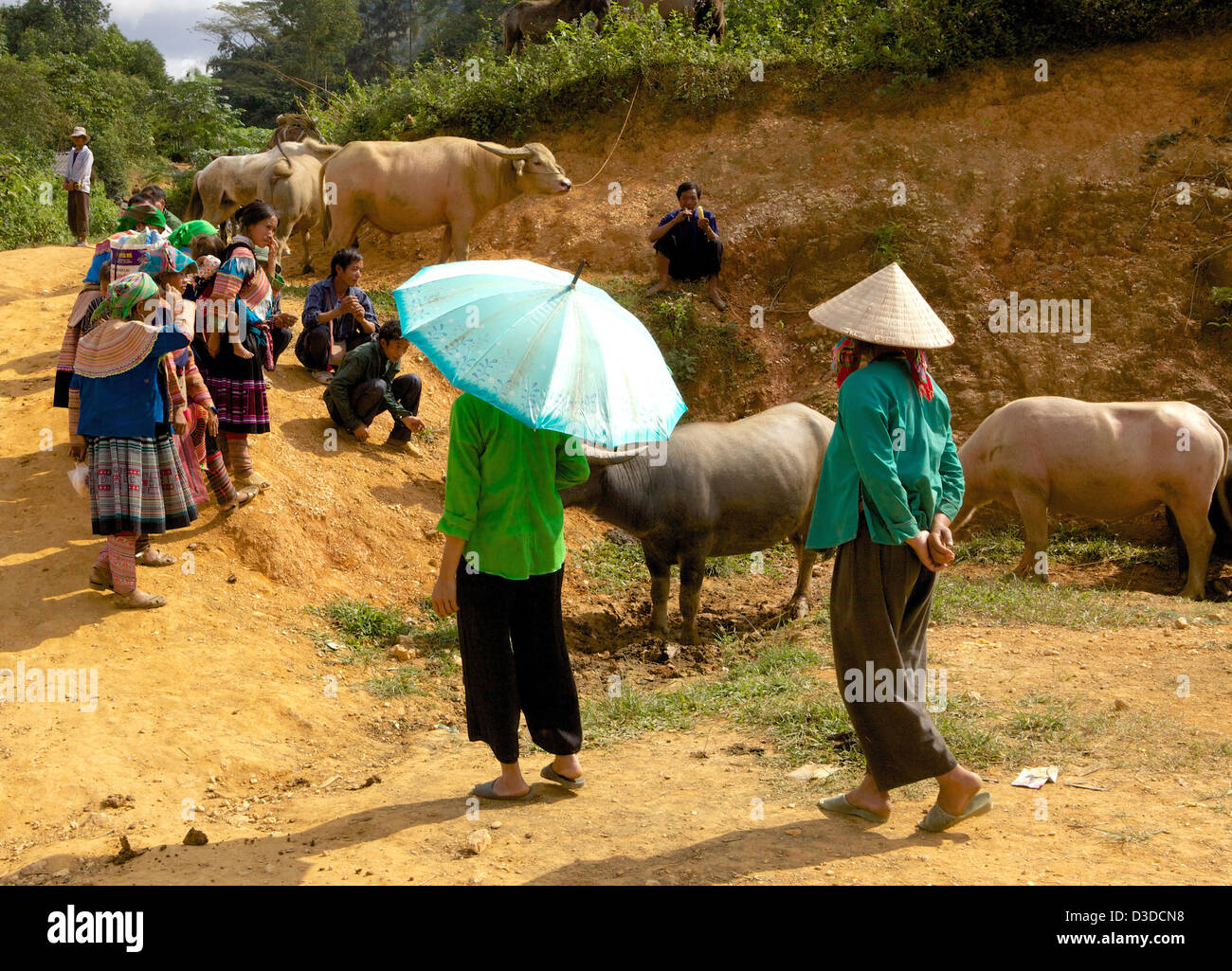 Vietnam, marché de Cancau. La minorité Hmong fleur Banque D'Images