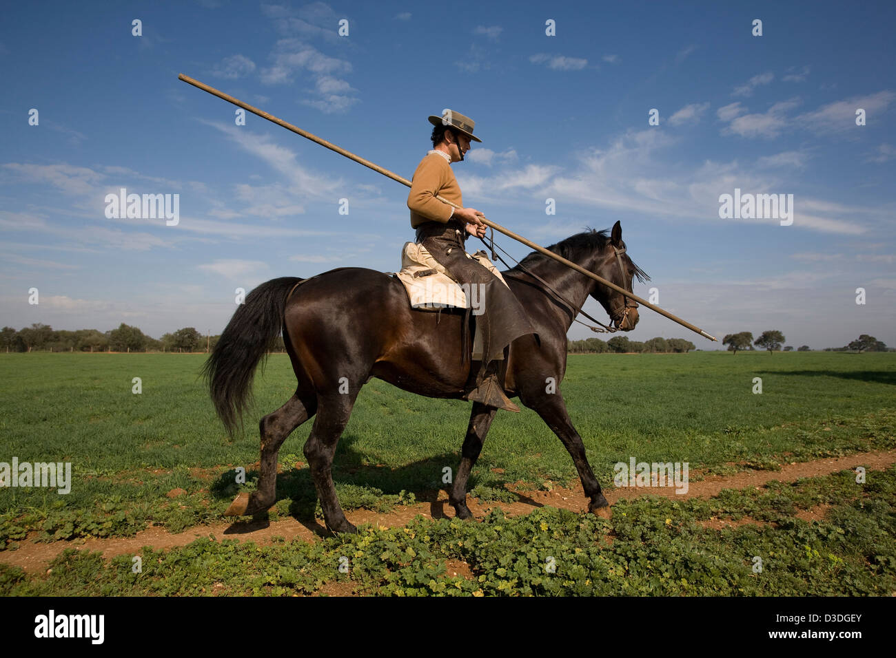 LA FINCA RUIZA, Huelva, Espagne, Février 21 2008 : Don Tomas Prieto de la Cal, 41, part au travail avec son troupeau de taureaux, vaches et veaux tenant une garrocha traditionnelle, un 2,5 mètres de long lance en bois utilisés pour contrôler les animaux. Il se reproduit certains des plus féroces les taureaux en Espagne. Banque D'Images