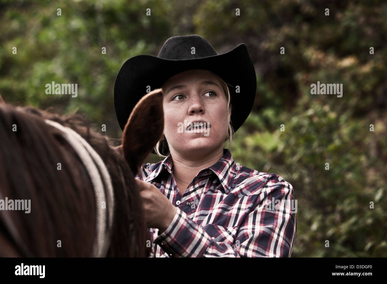 Cowgirl préparer cheval, Montana ranch, Etats-Unis Banque D'Images