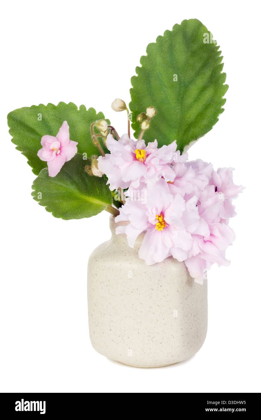 Bouquet minimaliste numéro 16 - mini rose fleurs violettes intérieur en pot en céramique vase isolé. Selective focus Banque D'Images