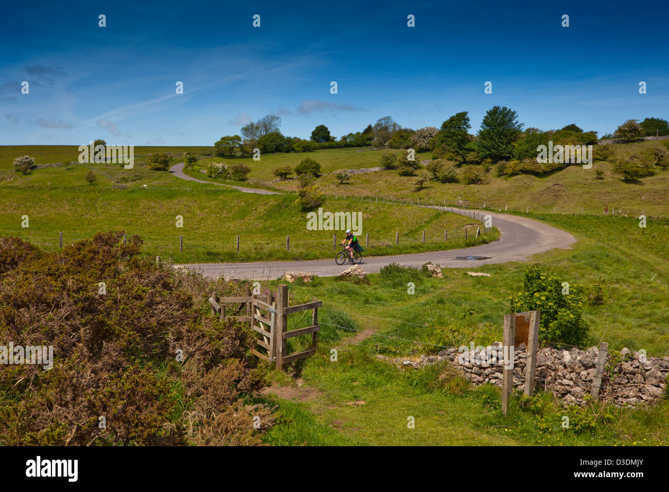 Un cycliste sur les collines de Mendip passant l'entrée de la réserve naturelle de Warren Ubley, Somerset, England, UK Banque D'Images