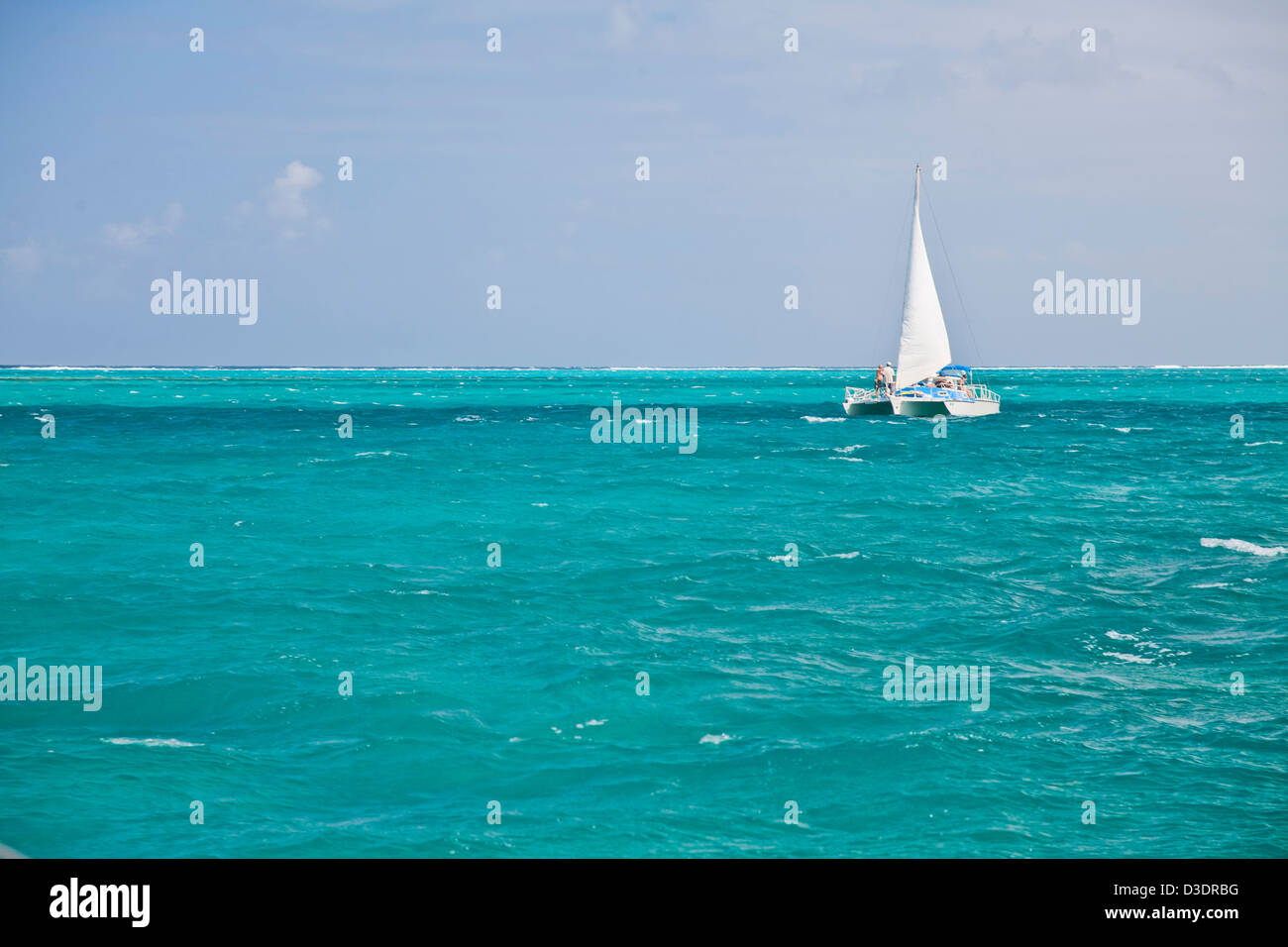 Voilier Trimaran naviguant dans les eaux tropicales turquoises à Grand Cayman Banque D'Images