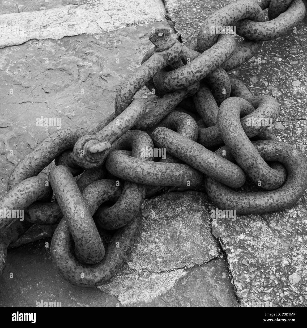 Maillon de la pêche industrielle maritime port mono Banque D'Images