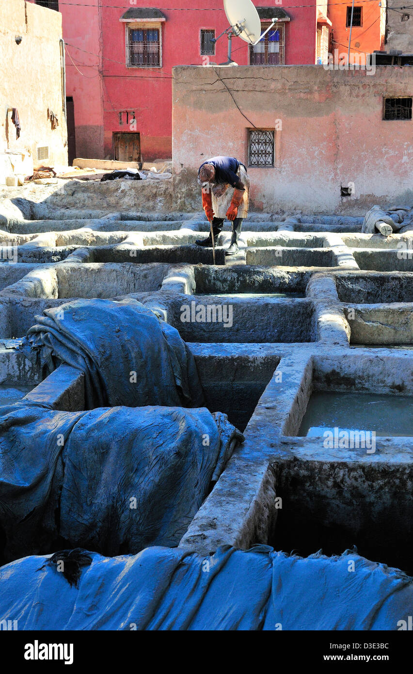 Homme au-dessus des tanneries traitant des cuves, tendant à la vache se cache dans les tanneries de Marrakech, Maroc, Afrique du Nord Banque D'Images