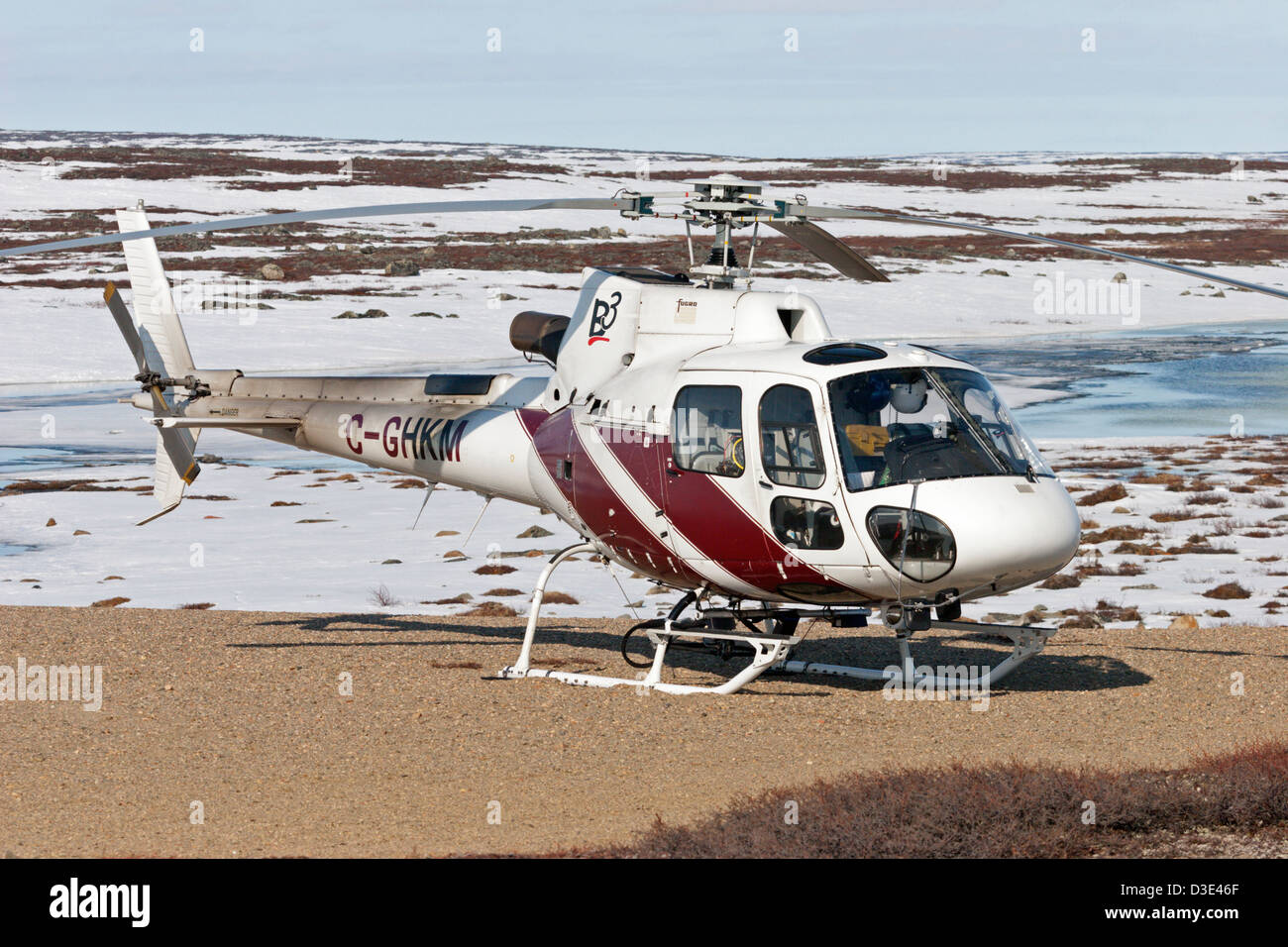 Hélicoptère astar AS350B3 de la toundra arctique de l'enquête du printemps Banque D'Images