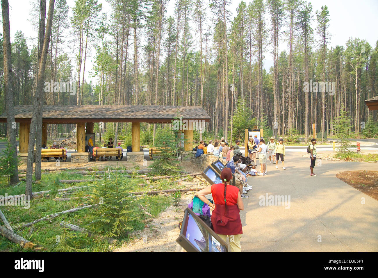 Le centre de transit Apgar dans le parc national des glaciers est un établissement certifié LEED Or conçu pour soutenir le transport durable. On y trouve des expositions et des services aux visiteurs pour sensibiliser les visiteurs à l'histoire naturelle du parc et aux efforts de conservation. Banque D'Images