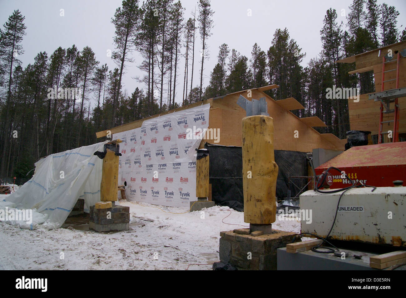 Le centre de transit Apgar dans le parc national Glacier, Montana, est un établissement certifié LEED Or conçu pour soutenir le transport durable. Il offre des services aux visiteurs voyageant dans le parc, reflétant des pratiques de construction respectueuses de l'environnement. Banque D'Images