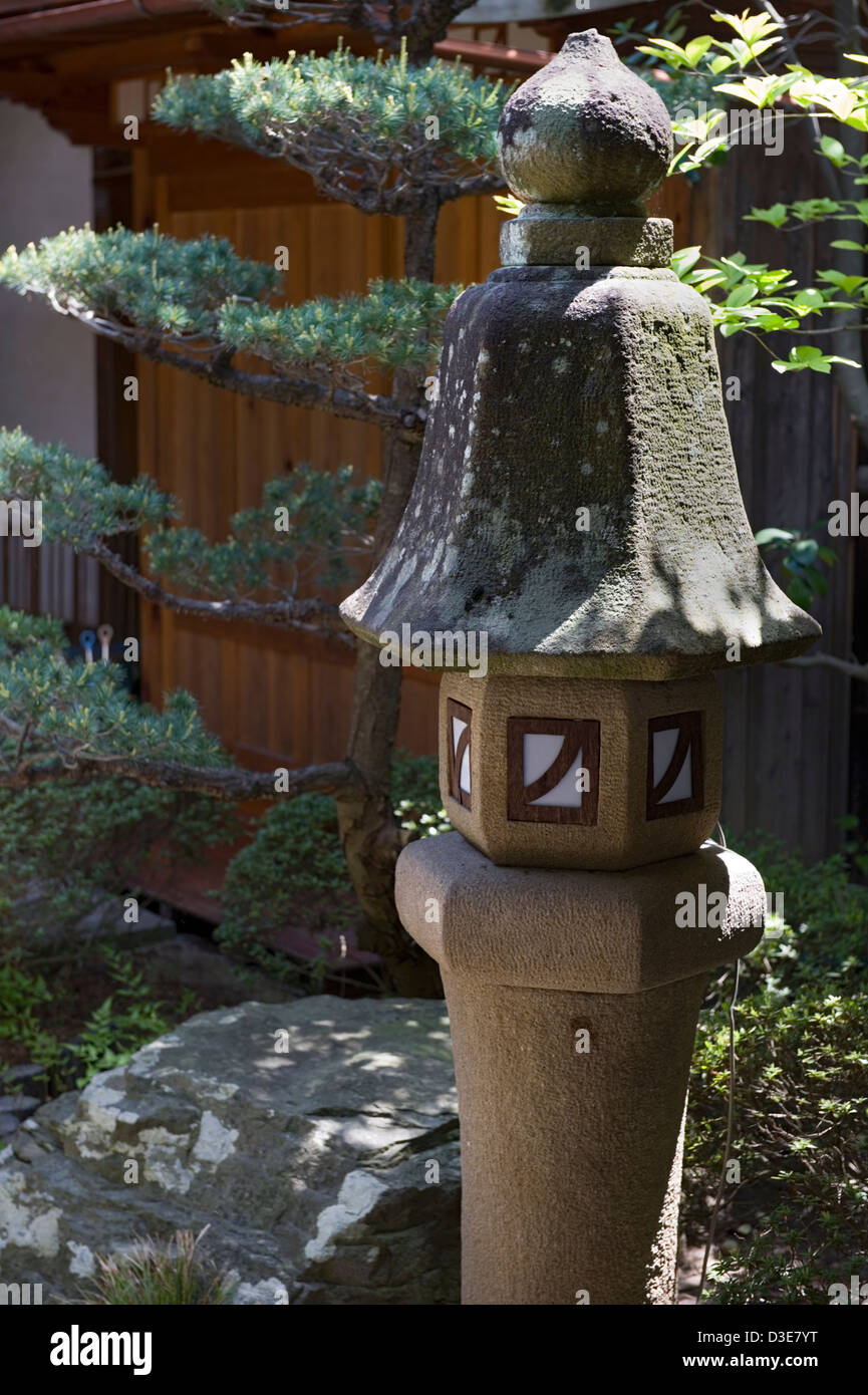 Un peu grand, maigre et d'une lanterne de pierre pin matsu manucurés dans un jardin japonais. Banque D'Images