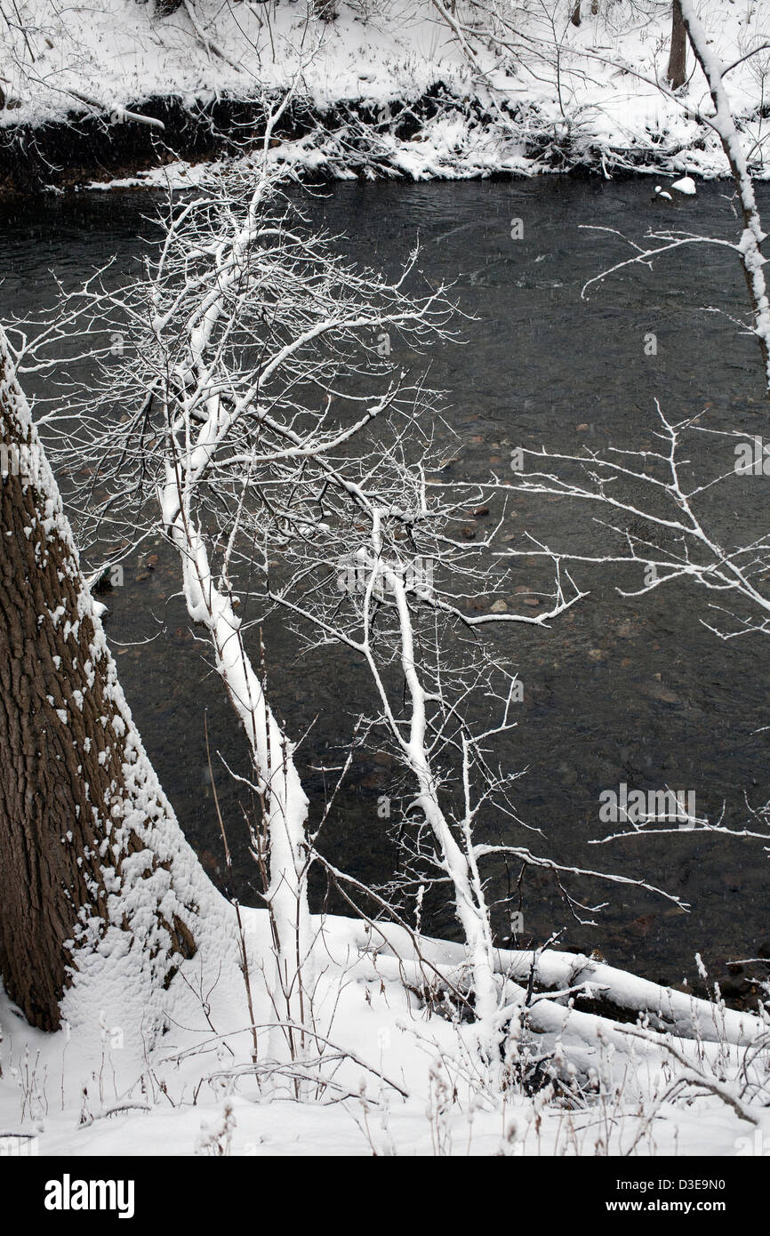 Arbres couverts de neige forment un motif délicat le long de la branche sud de la rivière Hoosic au Massachusetts. Banque D'Images