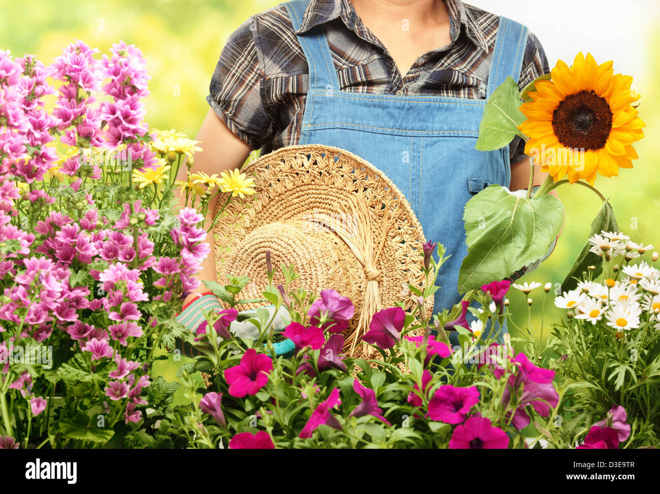 Piscine jardinage,Libre shot. Banque D'Images
