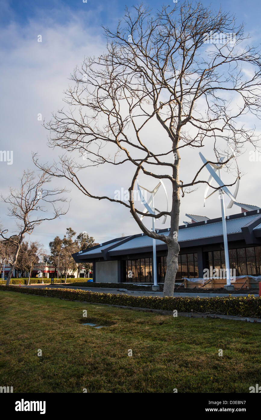 Un arbre sans feuilles en face de deux éoliennes à axe broyeur coloïdal vertical au centre de l'énergie nette zéro en cours de construction à San Leandro, en Californie. Banque D'Images