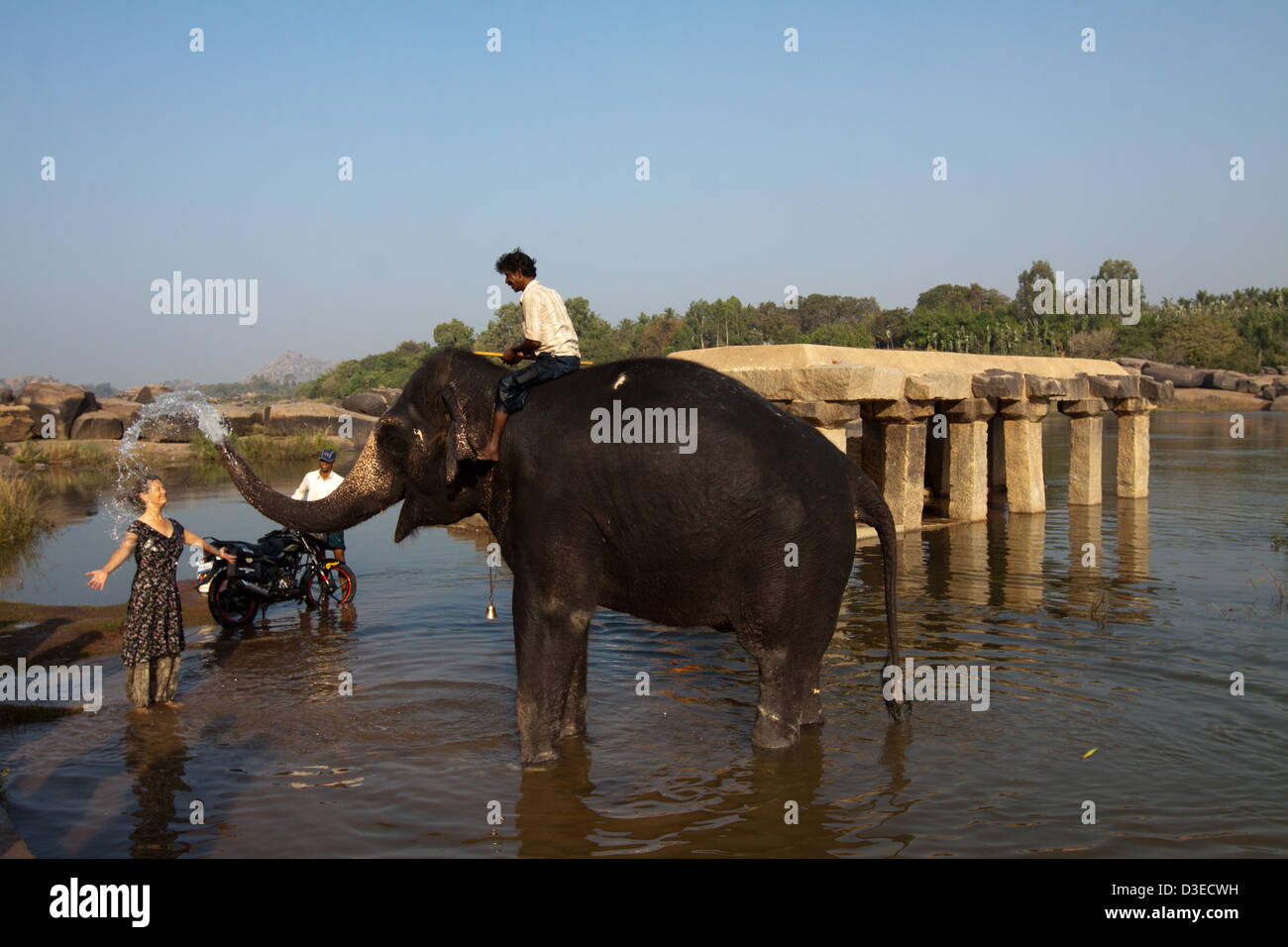 Dans l'éléphant Hampi Banque D'Images