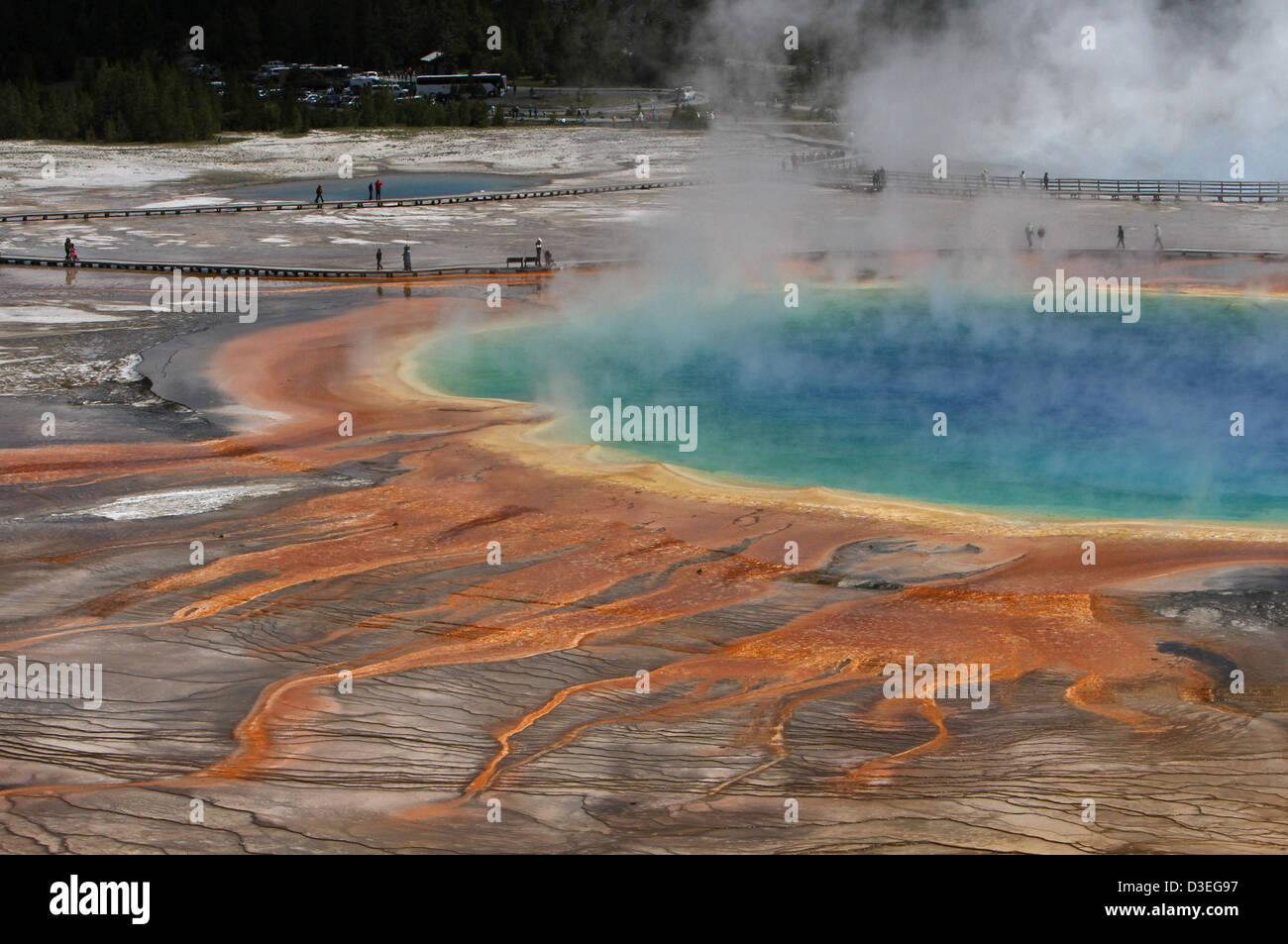 Le Grand Prismatic Spring, dans le parc national de Yellowstone, est l'une des sources chaudes les plus grandes et les plus dynamiques du monde. Les teintes bleues, vertes et oranges frappantes du printemps sont causées par des bactéries thermophiles. C'est une attraction majeure pour les visiteurs et est situé dans le Midway Geyser Basin du parc. Banque D'Images