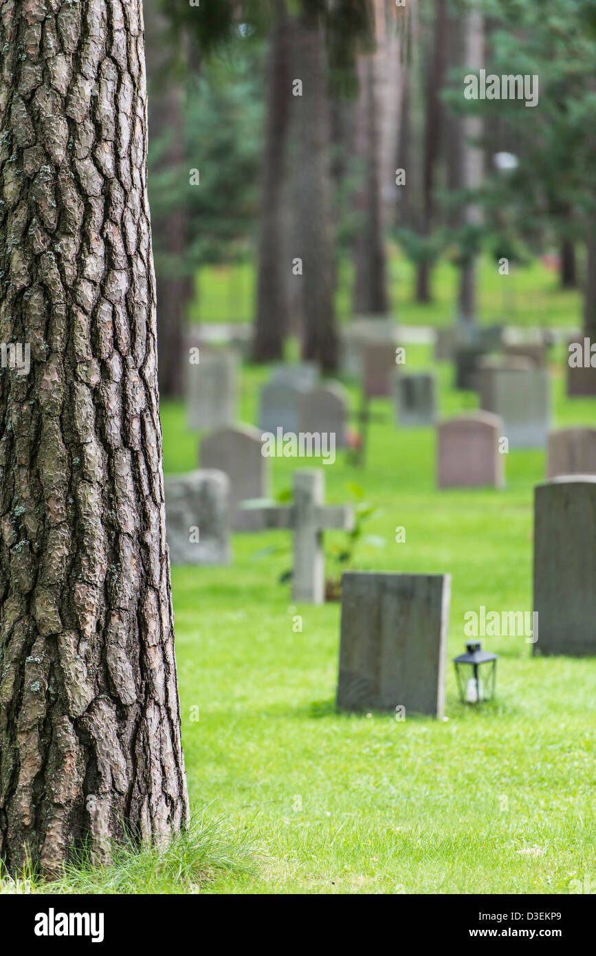 Pierres tombales et arbres au cimetière Forest skogskyrkogarden à Stockholm, Suède Banque D'Images