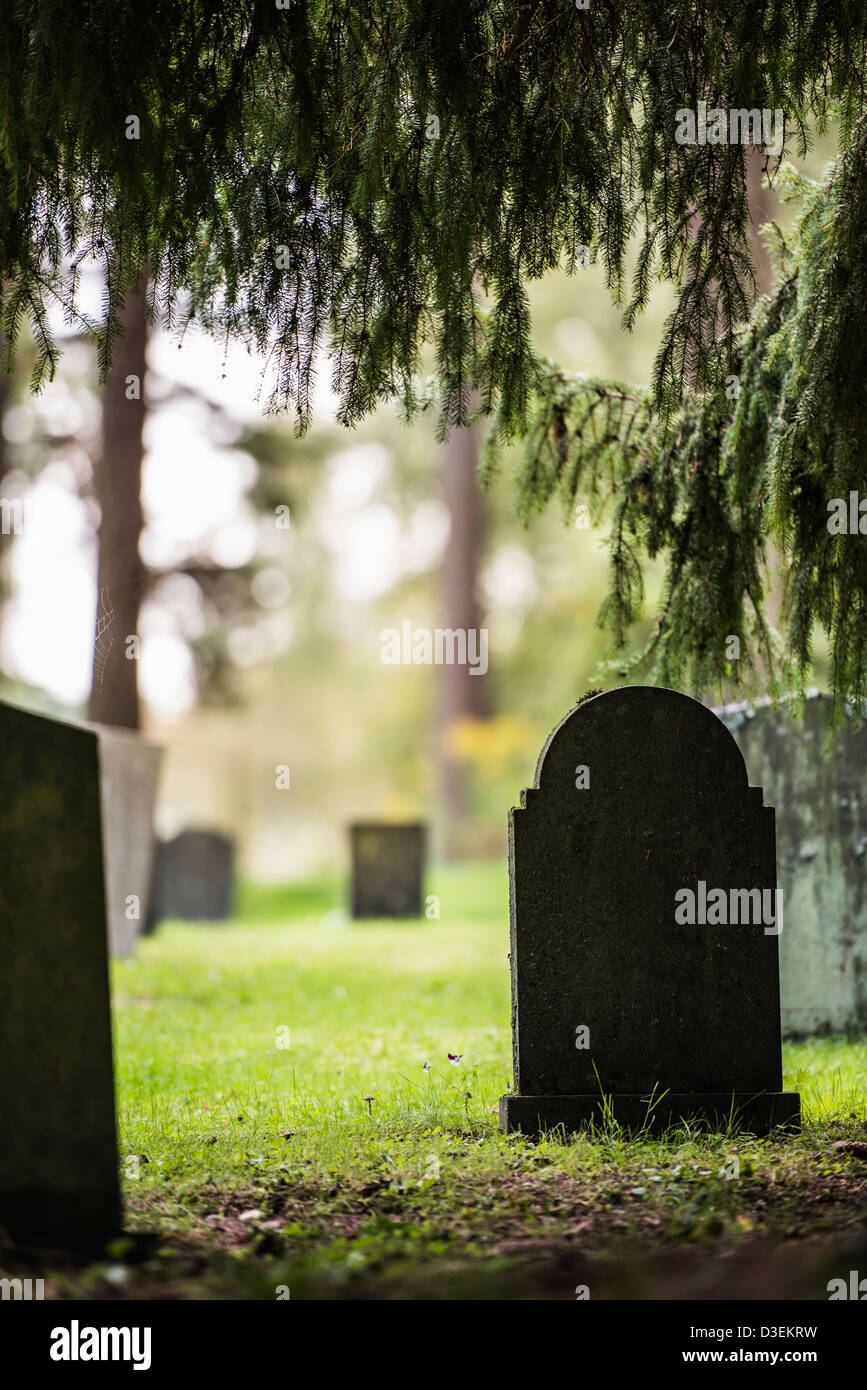 Pierres tombales et arbres au cimetière Forest skogskyrkogarden à Stockholm, Suède Banque D'Images