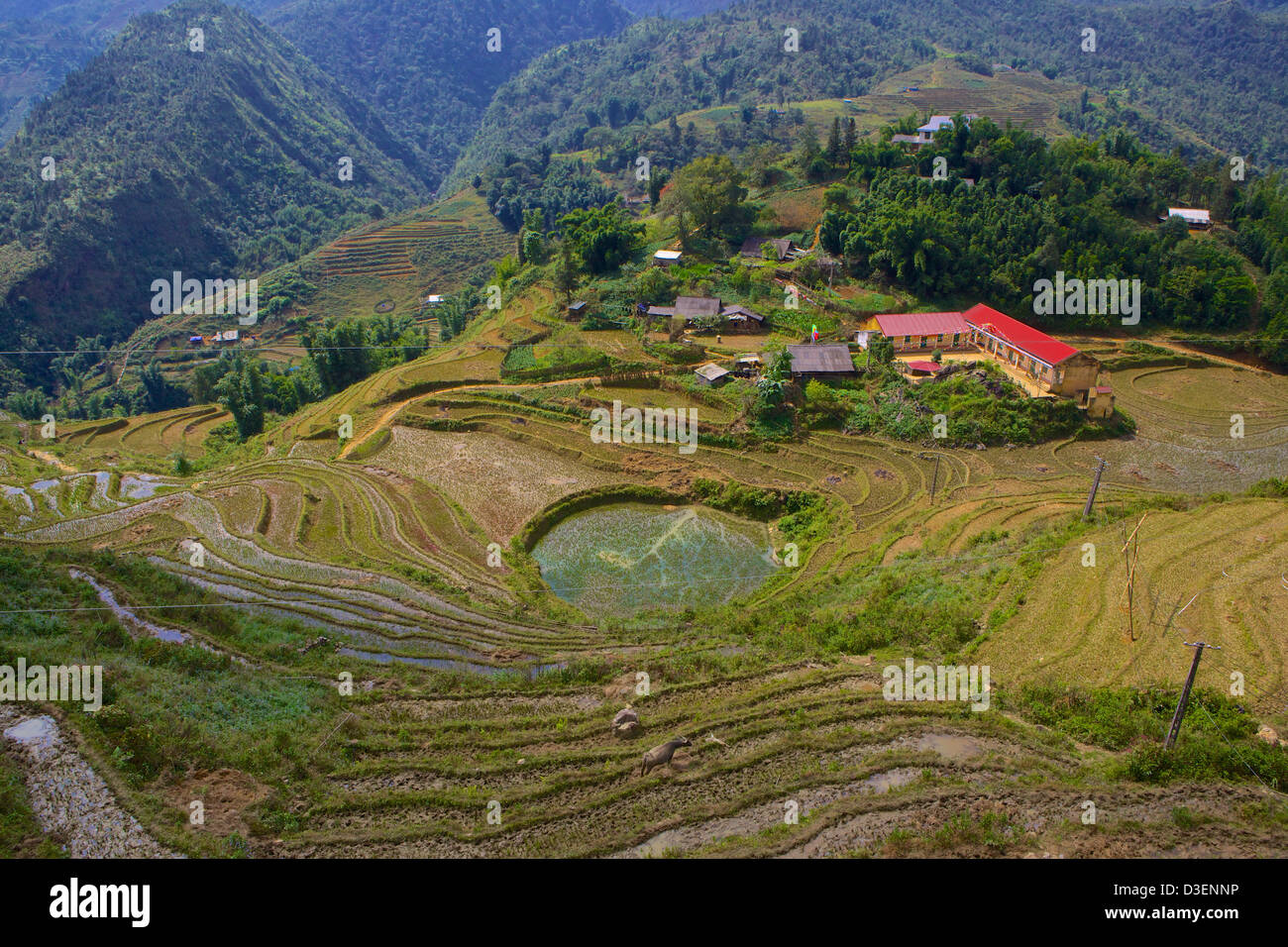 Paysage du Village de Cat Cat, Sapa, Lao Cai, Vietnam Banque D'Images