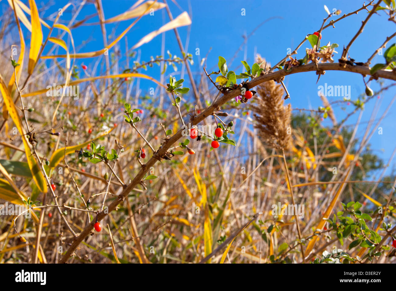 Quelle belle journée Banque D'Images