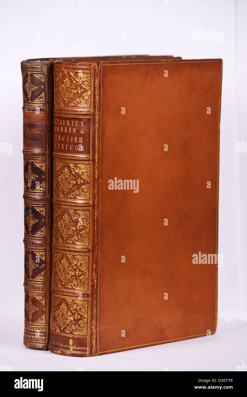 Deux vieux livres anciens liés en cuir datant des années 1800 anciens anciens Tomes pour antiquaires ou libraires Banque D'Images